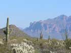 Boulder Mountain Highlands - Mesa, Arizona